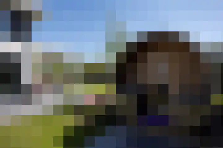 Zuideinde 15 Berkel en Rodenrijs thumbnail 89