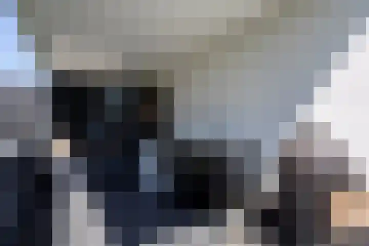 Zuideinde 15 Berkel en Rodenrijs thumbnail 91