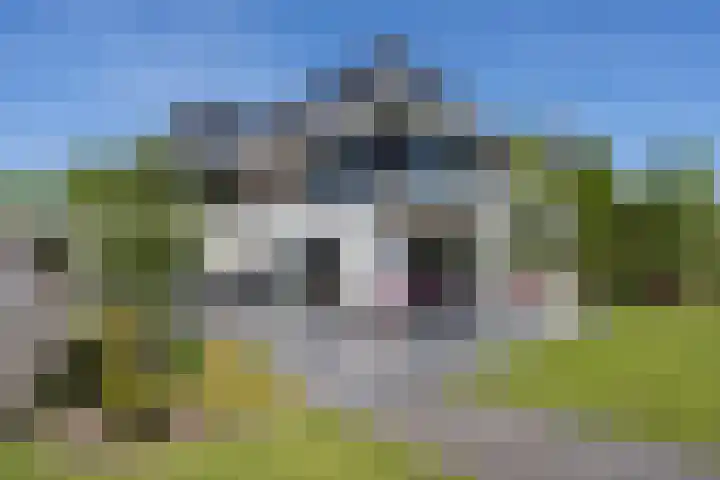 Zuideinde 15 Berkel en Rodenrijs thumbnail 92