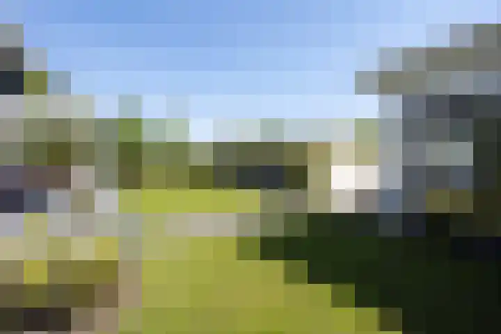 Zuideinde 15 Berkel en Rodenrijs thumbnail 93