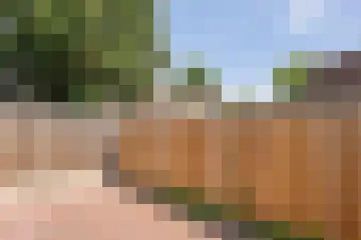 Zuideinde 15 Meppel thumbnail 27
