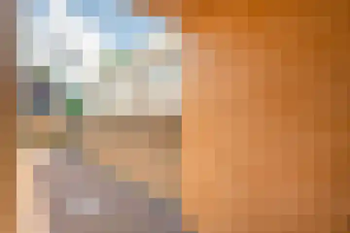 Zuideinde 15 Meppel thumbnail 29