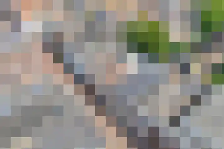 Zuideinde 15 Meppel thumbnail 30