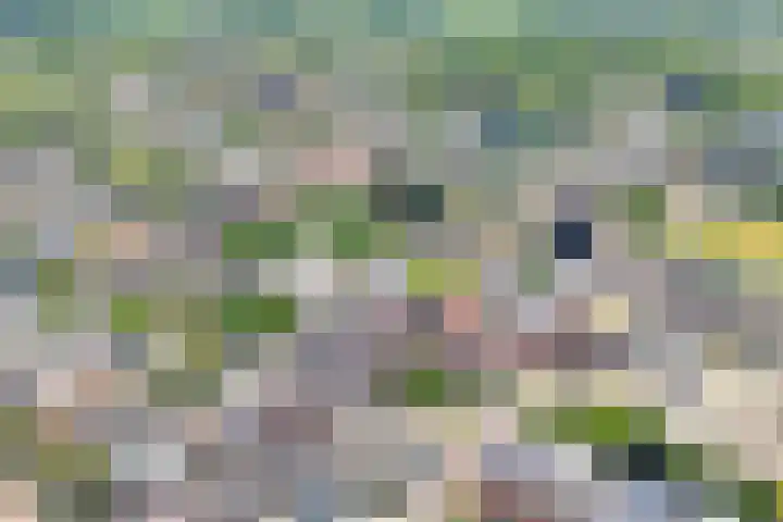 Zuideinde 15 Meppel thumbnail 32