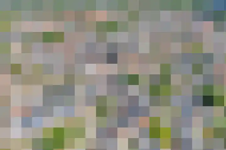 Zuideinde 15 Meppel thumbnail 5