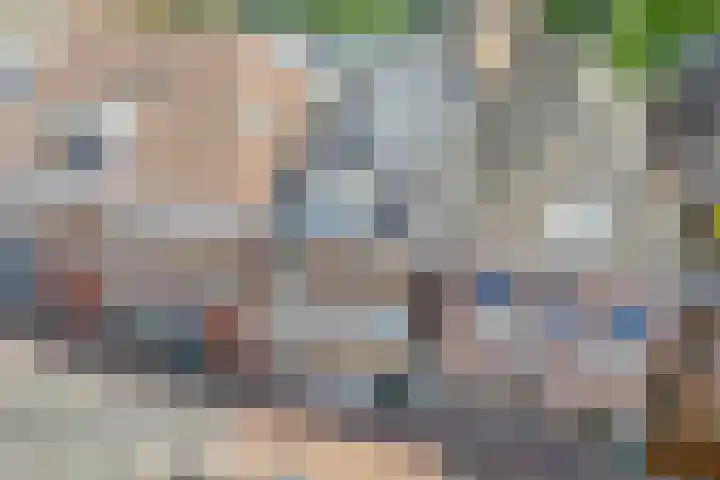 Zuideinde 15 Meppel thumbnail 6