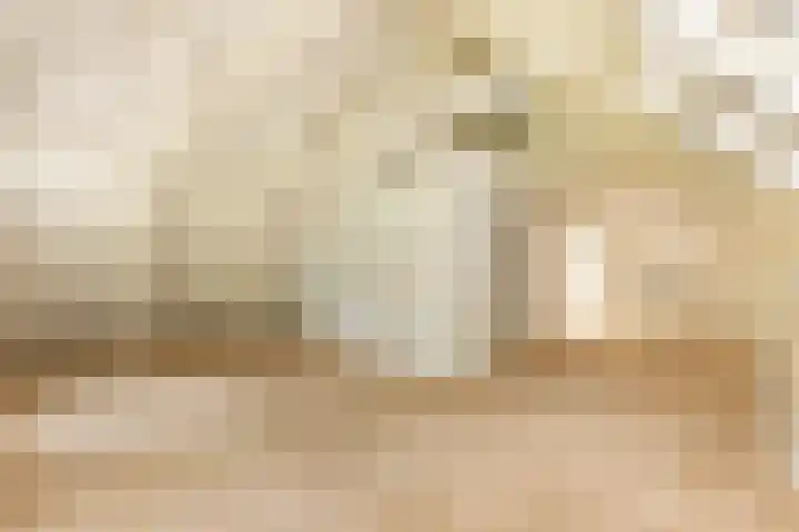 Zuideinde 152 Westzaan thumbnail 31