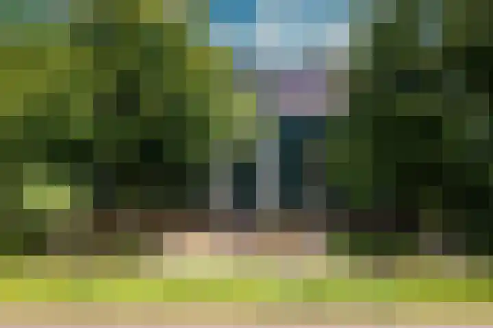 Zuideinde 152 Westzaan thumbnail 4