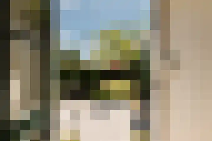 Zuideinde 152 Westzaan thumbnail 41