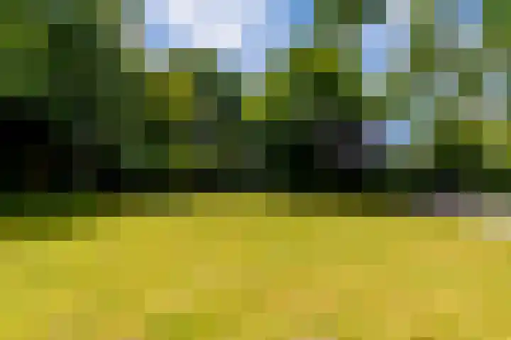 Zuideinde 152 Westzaan thumbnail 43