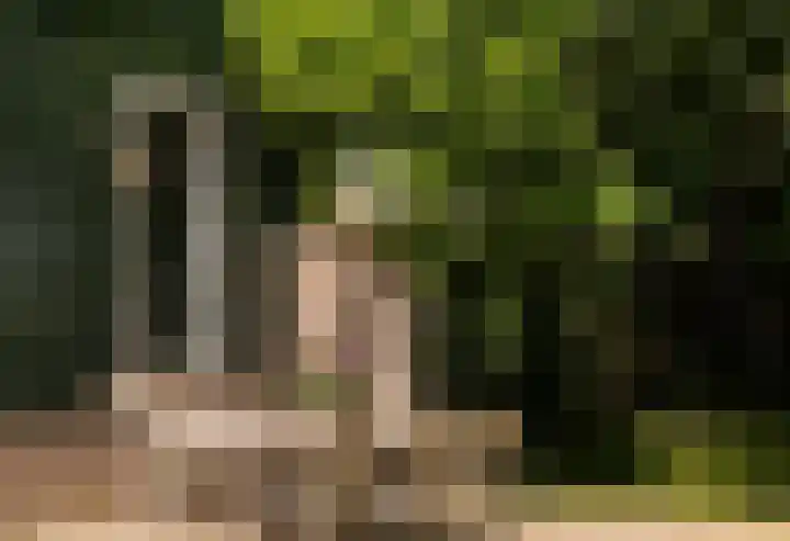 Zuideinde 152 Westzaan thumbnail 45
