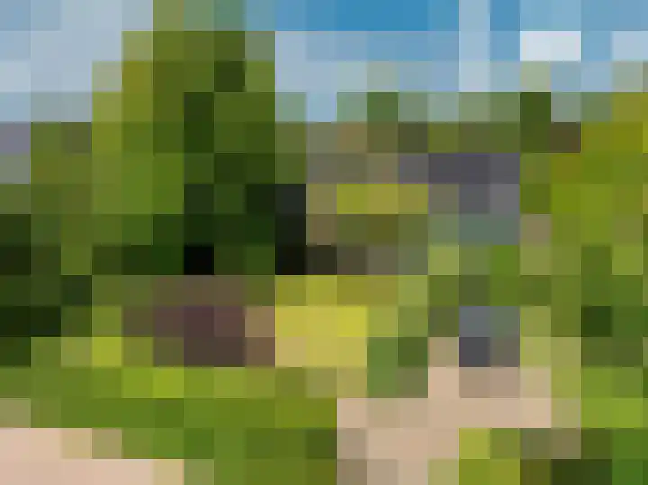 Zuideinde 152 Westzaan thumbnail 5