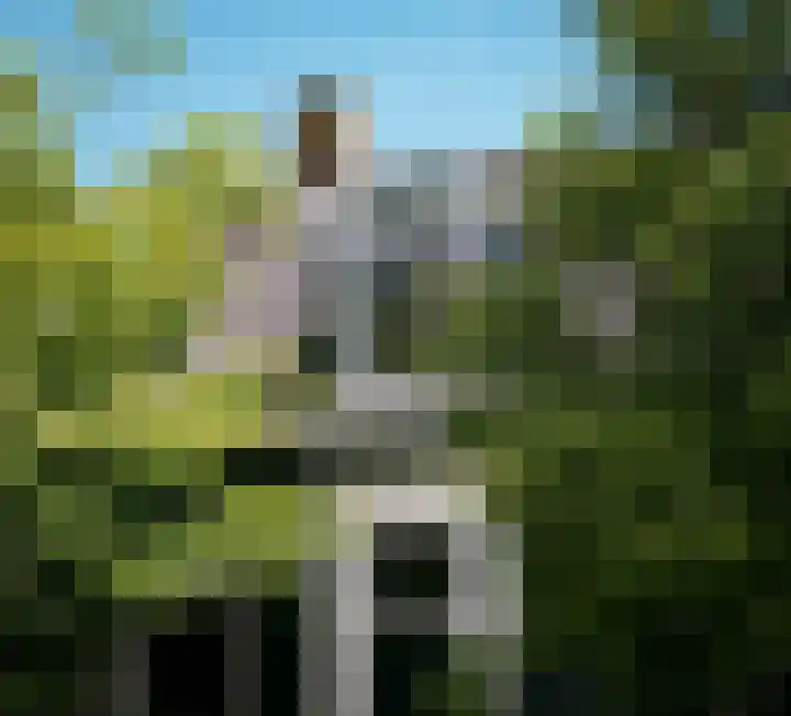 Zuideinde 152 Westzaan thumbnail 55
