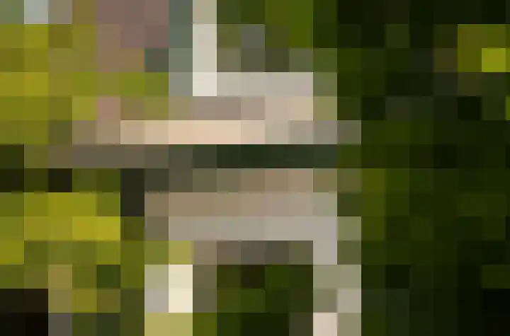 Zuideinde 152 Westzaan thumbnail 56