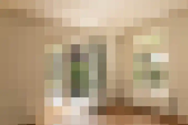Zuideinde 152 Westzaan thumbnail 7