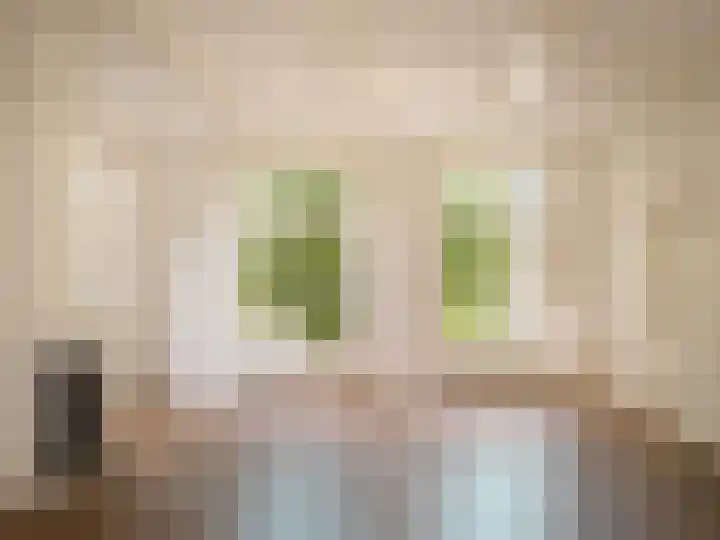 Zuideinde 152 Westzaan thumbnail 8