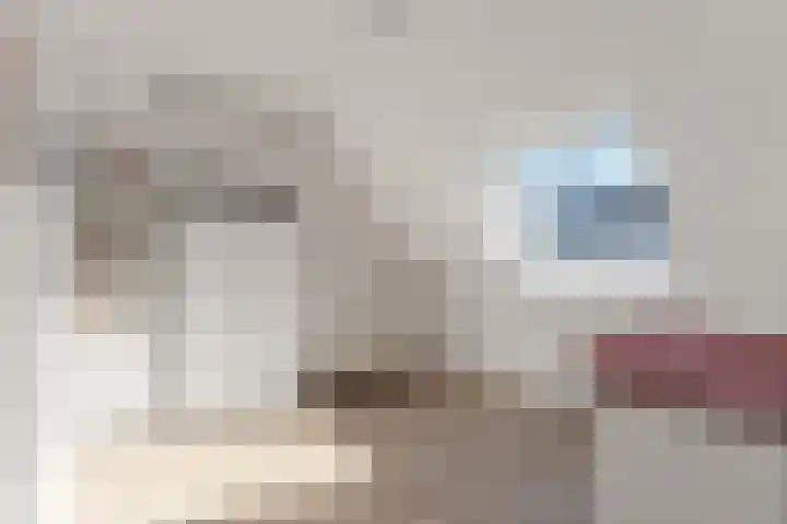 Zuideinde 16 C Wormerveer thumbnail 4