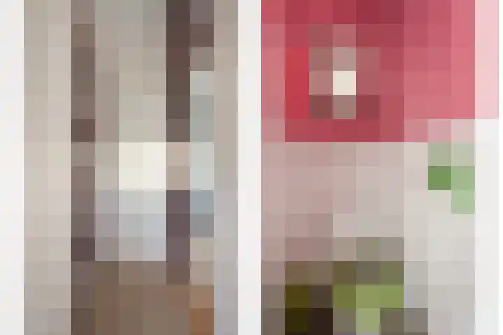 Zuideinde 160 Oostzaan thumbnail 20