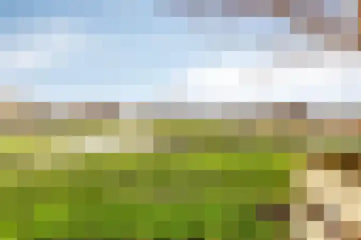 Zuideinde 160 Oostzaan thumbnail 23