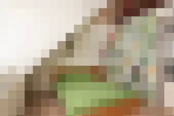 Zuideinde 160 Oostzaan thumbnail 31