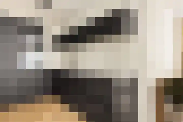 Zuideinde 161 b Oostzaan thumbnail 11