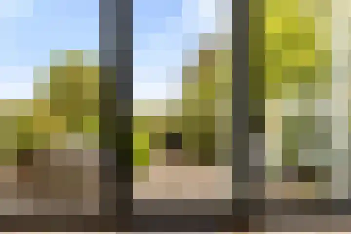 Zuideinde 161 b Oostzaan thumbnail 23