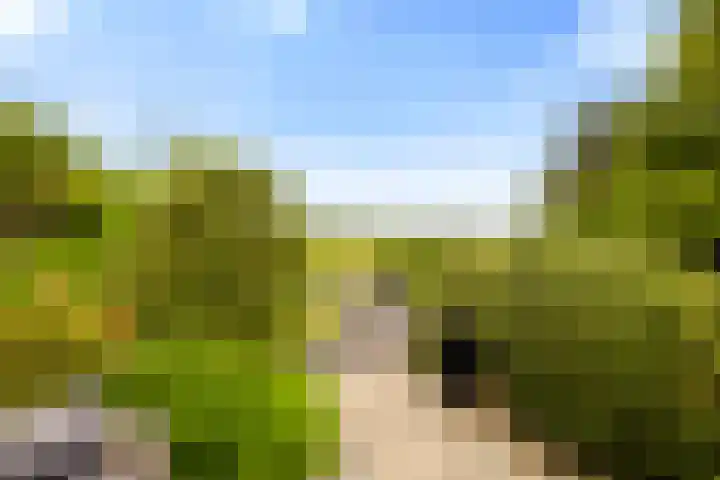Zuideinde 161 b Oostzaan thumbnail 31