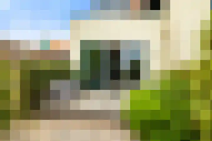 Zuideinde 161 b Oostzaan thumbnail 34