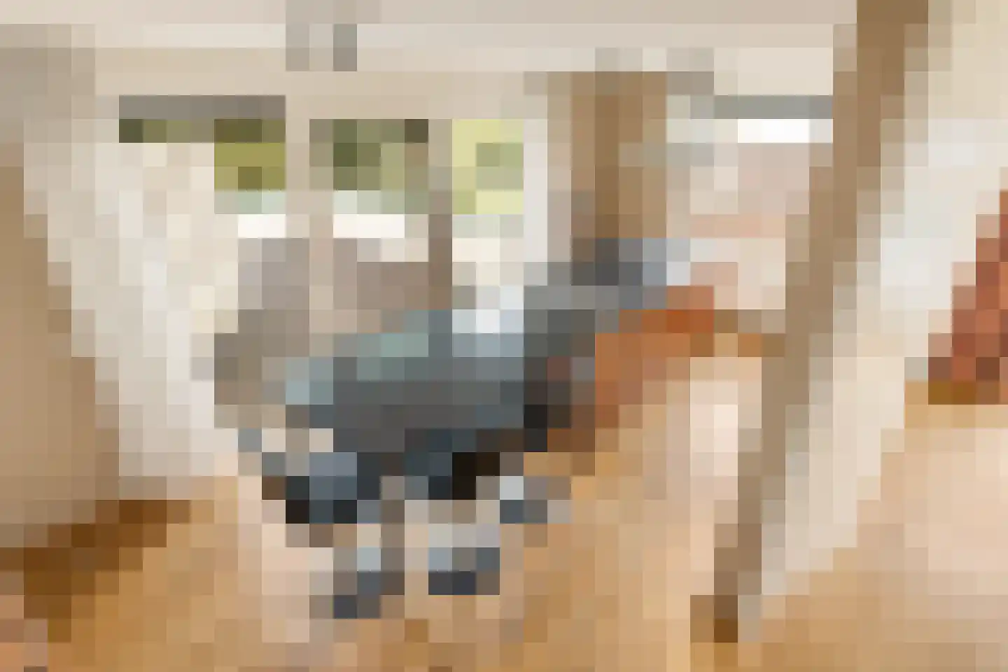 Zuideinde 161 d Oostzaan thumbnail 10