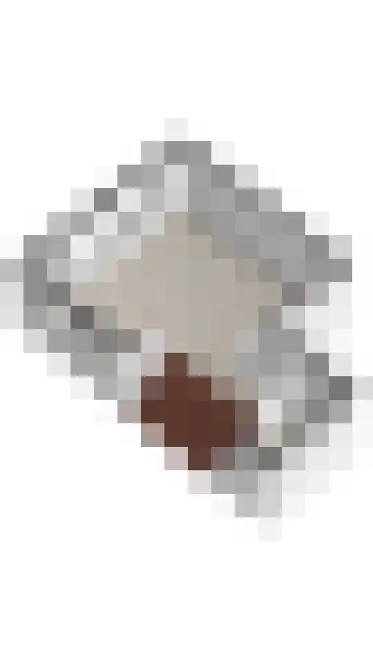 Zuideinde 161 d Oostzaan thumbnail 22