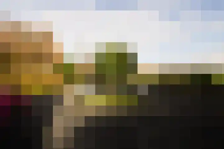 Zuideinde 161 d Oostzaan thumbnail 34