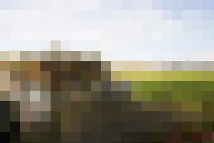 Zuideinde 161 d Oostzaan thumbnail 35