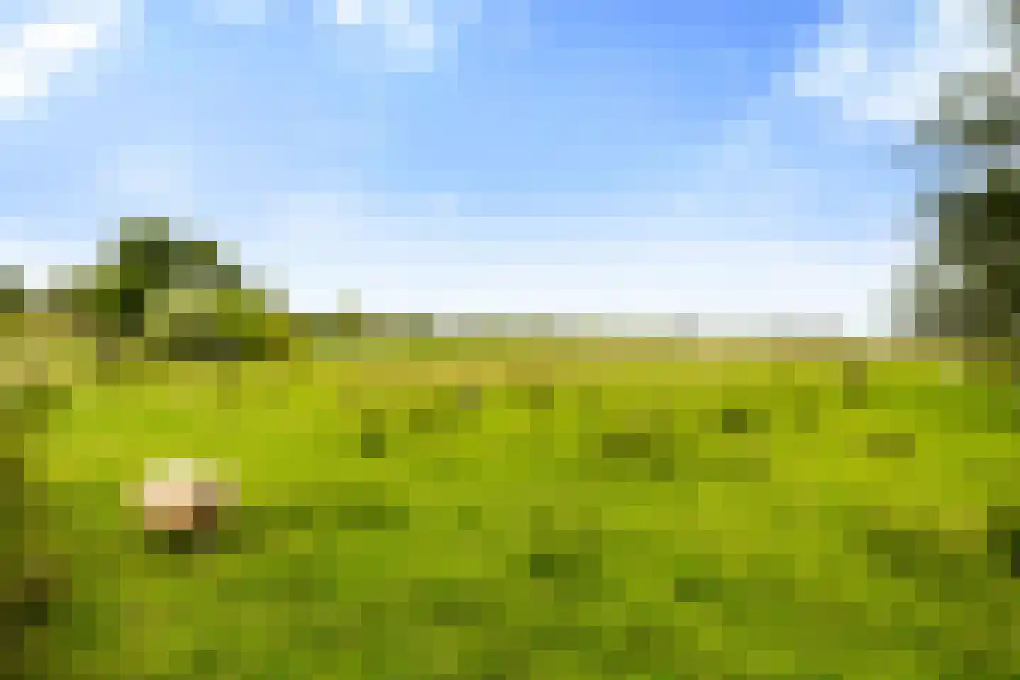 Zuideinde 161 d Oostzaan thumbnail 7
