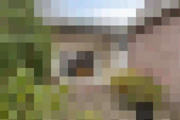 Zuideinde 165 b Oostzaan thumbnail 12