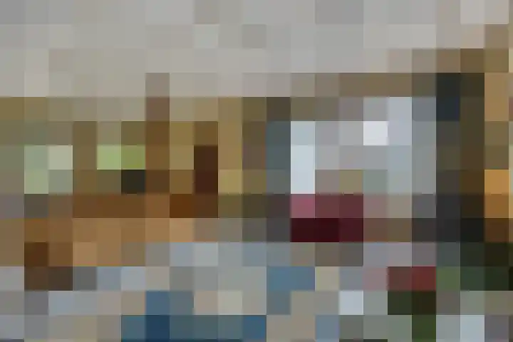 Zuideinde 165 b Oostzaan thumbnail 15