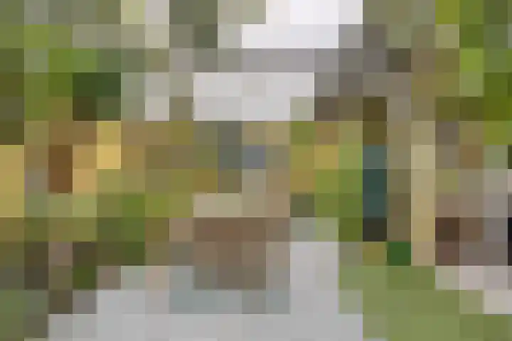 Zuideinde 165 b Oostzaan thumbnail 22