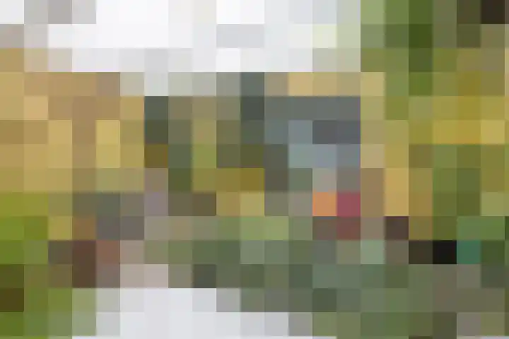 Zuideinde 165 b Oostzaan thumbnail 23