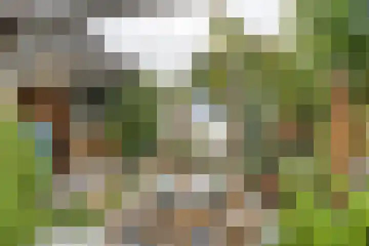 Zuideinde 165 b Oostzaan thumbnail 24