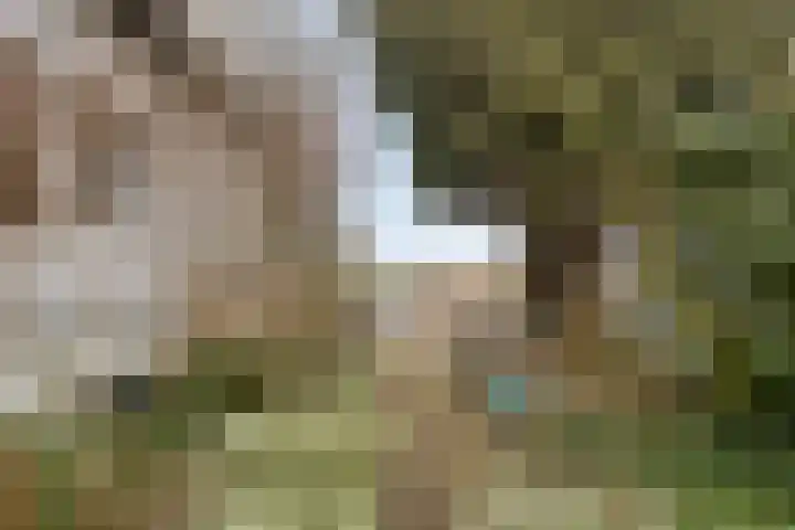 Zuideinde 165 b Oostzaan thumbnail 25
