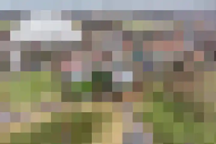 Zuideinde 165 b Oostzaan thumbnail 29