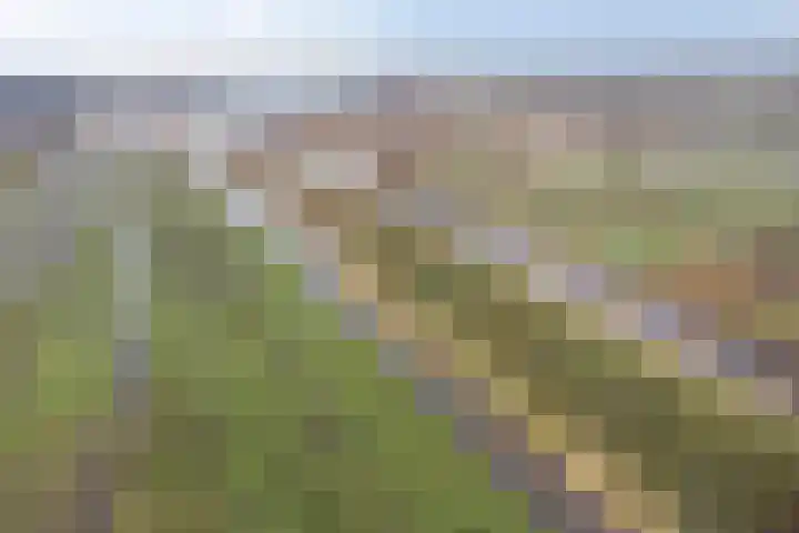 Zuideinde 165 b Oostzaan thumbnail 54