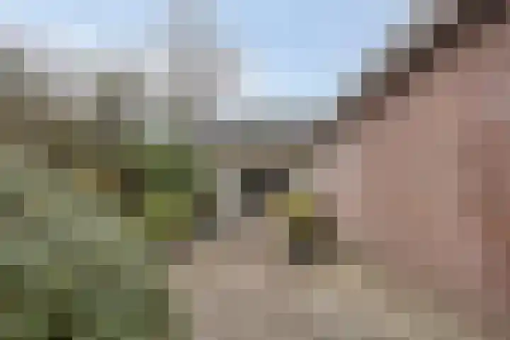 Zuideinde 165 b Oostzaan thumbnail 9