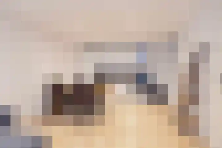 Zuideinde 17 C Wormerveer thumbnail 5