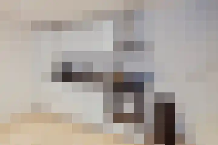 Zuideinde 17 C Wormerveer thumbnail 8