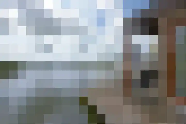 Zuideinde 178 A Nieuwkoop thumbnail 22