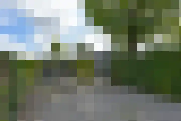 Zuideinde 178 A Nieuwkoop thumbnail 30