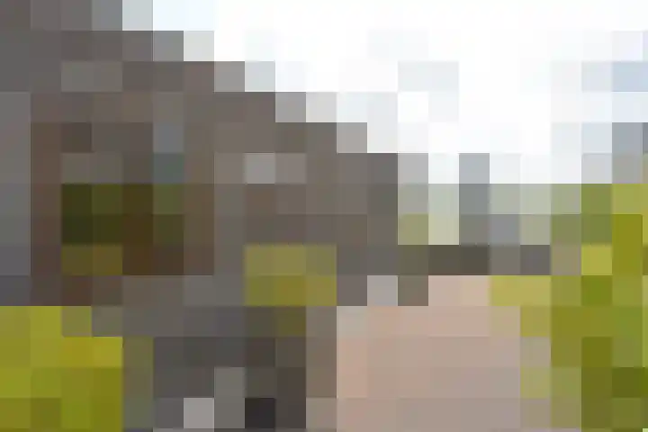 Zuideinde 178 A Nieuwkoop thumbnail 32