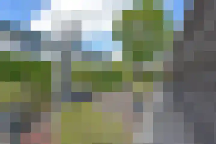 Zuideinde 178 A Nieuwkoop thumbnail 33