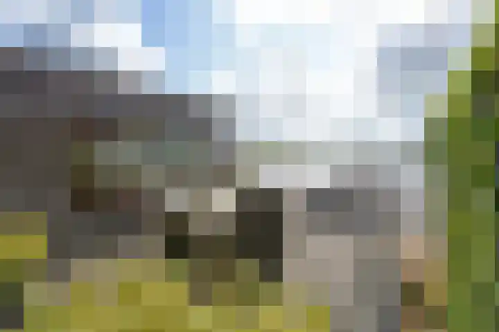 Zuideinde 178 A Nieuwkoop thumbnail 35