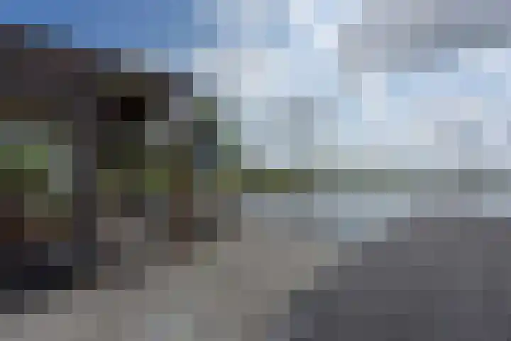 Zuideinde 178 A Nieuwkoop thumbnail 4